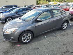 Ford Focus salvage cars for sale: 2013 Ford Focus SE