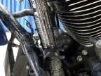 2024 Harley-Davidson Fltrx