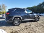 2023 Toyota Rav4 Adventure