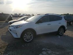 2018 Toyota Rav4 HV Limited for sale in Indianapolis, IN