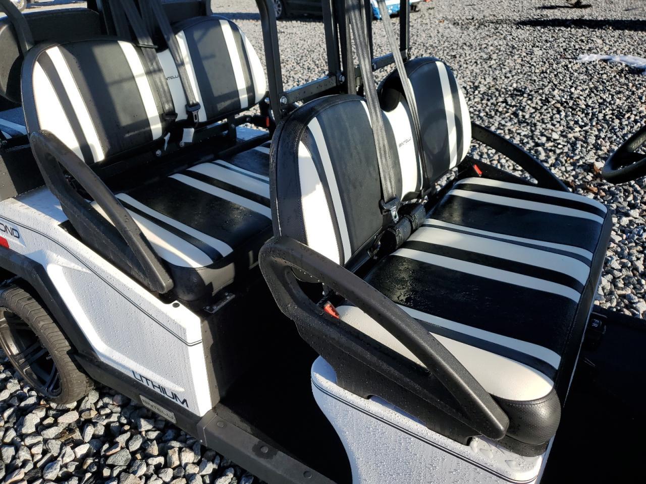 2024 Bintelli Bintelli Golf Cart