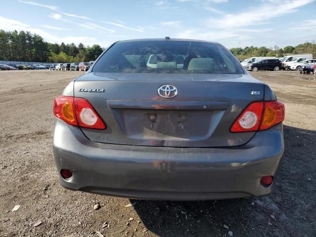 2010 Toyota Corolla Base
