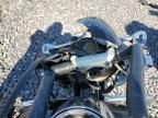 2010 Harley-Davidson Flhp