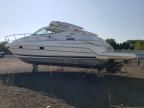 2001 Doral Bowrider