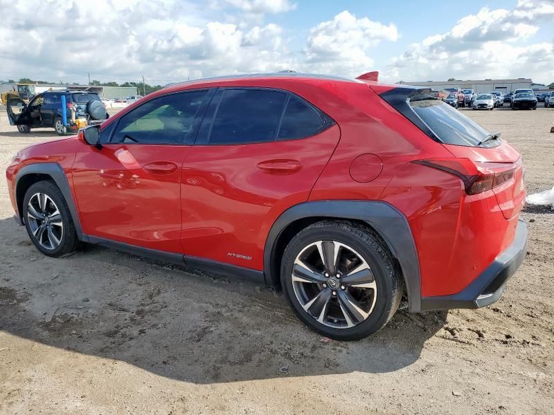 2019 Lexus UX 250H