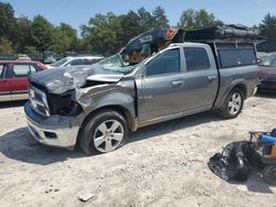 Dodge ram 1500 Vehiculos salvage en venta: 2010 Dodge RAM 1500