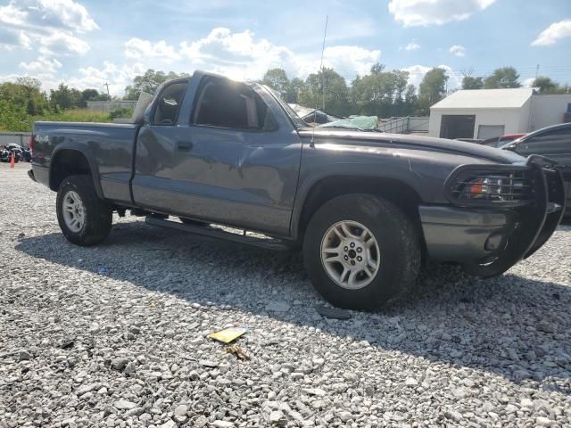 2003 Dodge Dakota SXT
