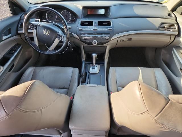 2010 Honda Accord EXL