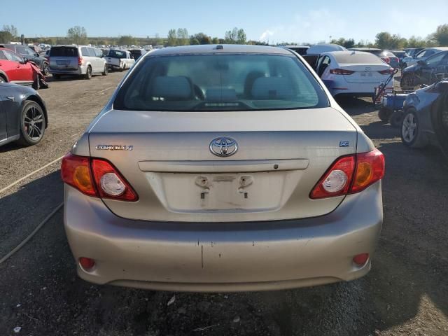 2010 Toyota Corolla Base