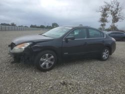 2009 Nissan Altima Hybrid for sale in San Martin, CA