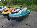 2024 Seadoo GTI