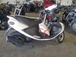 Salvage motorcycles for sale at Denver, CO auction: 2021 Budd 45x96 2021 Genuine Scooter CO. Buddy 50