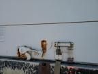 2001 International 4000 4700