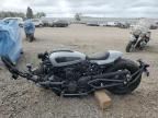 2024 Harley-Davidson RH1250 S