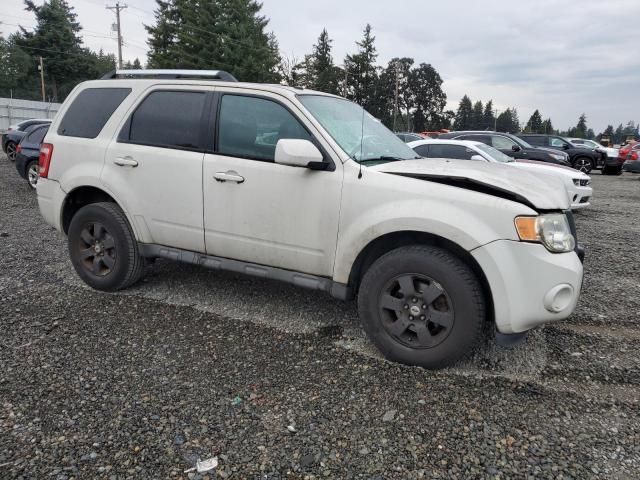 2009 Ford Escape Limited