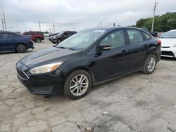 Ford Focus salvage cars for sale: 2017 Ford Focus SE