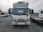 2023 Isuzu NQR