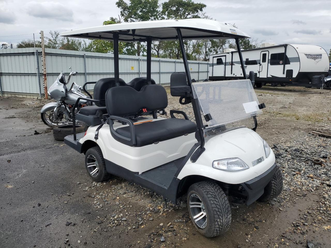 2022 Golf Golf Cart