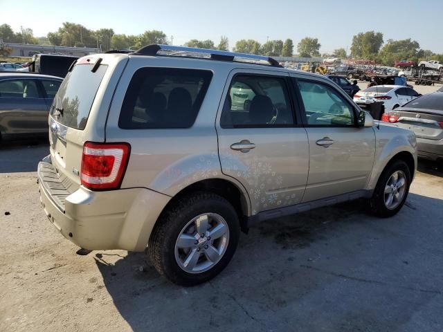 2011 Ford Escape Limited