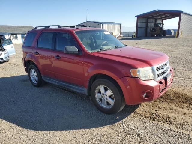 2009 Ford Escape xlt