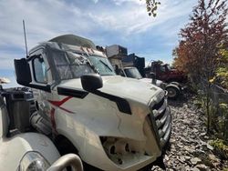 Freightliner Vehiculos salvage en venta: 2020 Freightliner Cascadia 1-Trucks