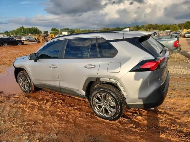 2024 Toyota Rav4 XLE Premium