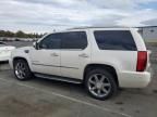 2007 Cadillac Escalade Luxury
