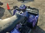 2006 Polaris Sportsman-ATV