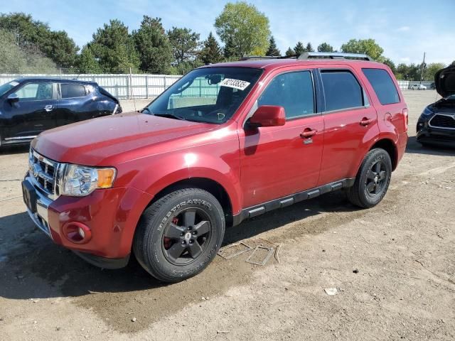 2011 Ford Escape Limited