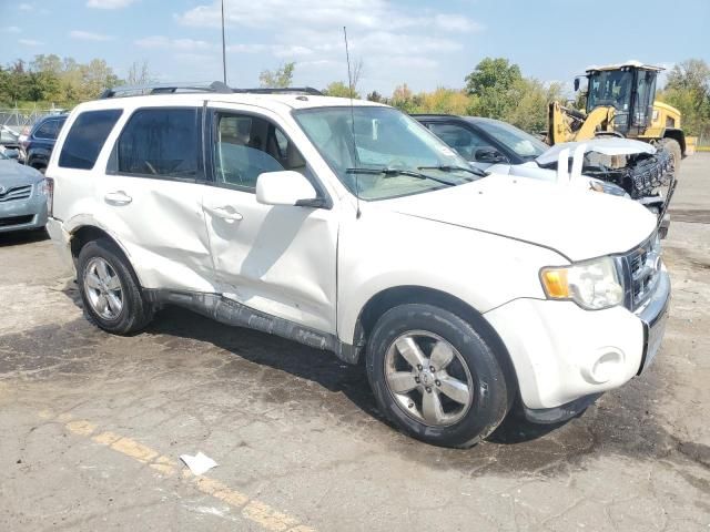2010 Ford Escape Limited