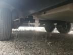 2021 Wildcat 240BXL