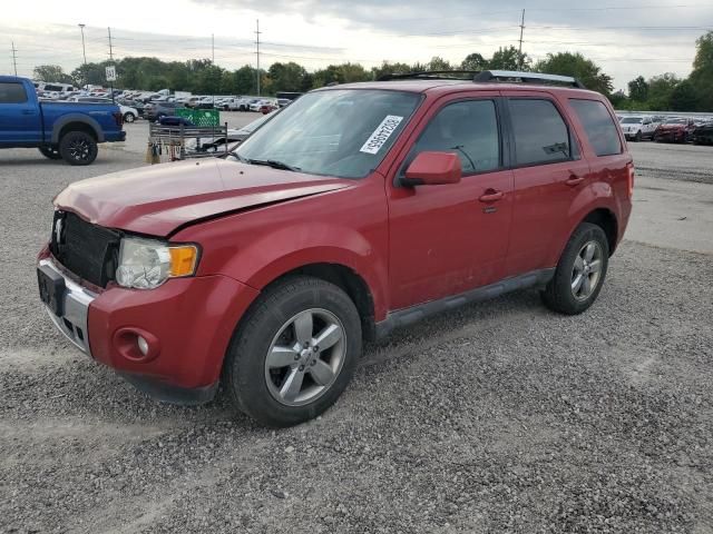 2011 Ford Escape Limited