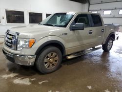 Salvage trucks for sale at Blaine, MN auction: 2009 Ford F150 Supercrew