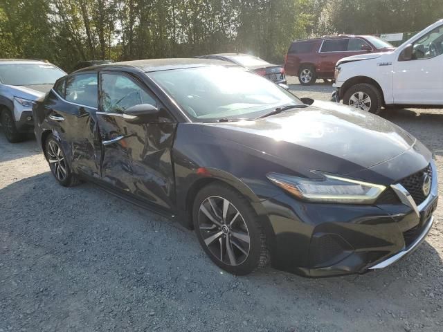 2020 Nissan Maxima SV