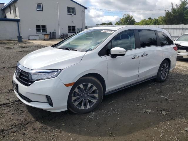 2023 Honda Odyssey exl