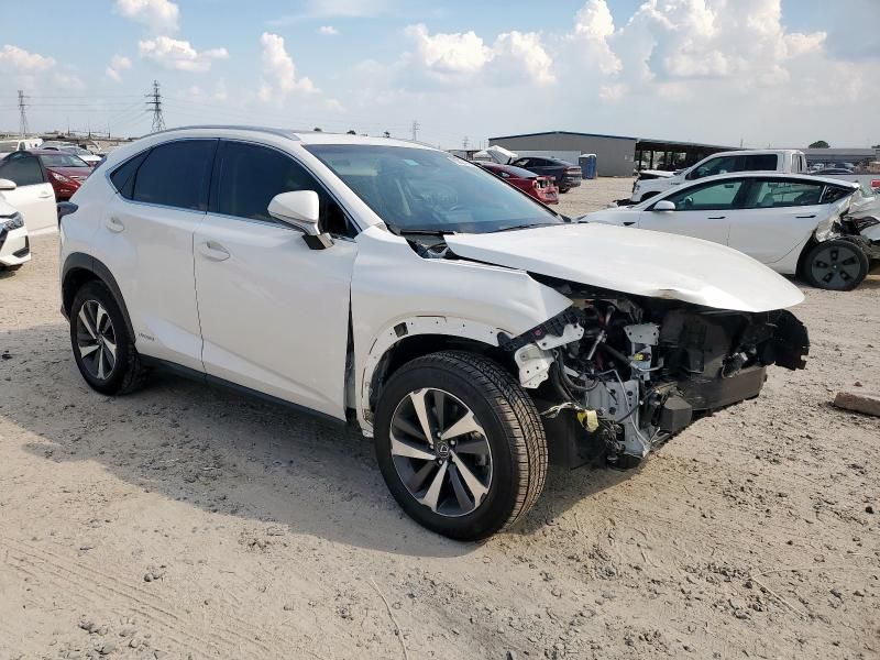 2018 Lexus NX 300H