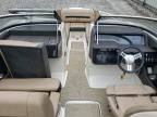 2017 Sea Ray 230 SD