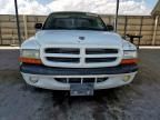 2000 Dodge Dakota
