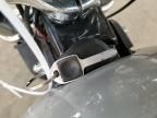 2024 Harley-Davidson Fxst