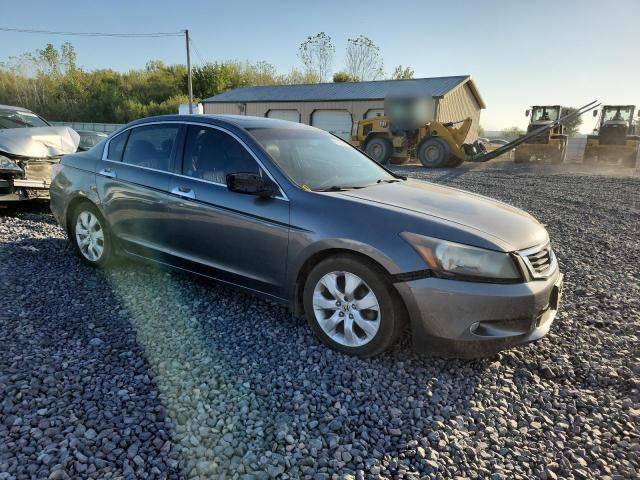 2010 Honda Accord EXL