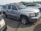 2008 Dodge Dakota SXT
