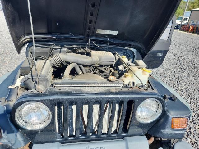1998 Jeep Wrangler / tj se