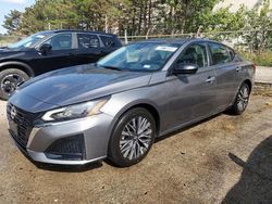 2025 Nissan Altima SV for sale in Wheeling, IL