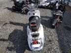 2024 Zhejiang Scooter
