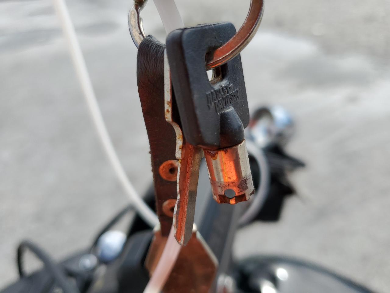 2005 Harley-Davidson Fxdi