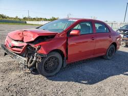 Toyota Corolla salvage cars for sale: 2011 Toyota Corolla Base