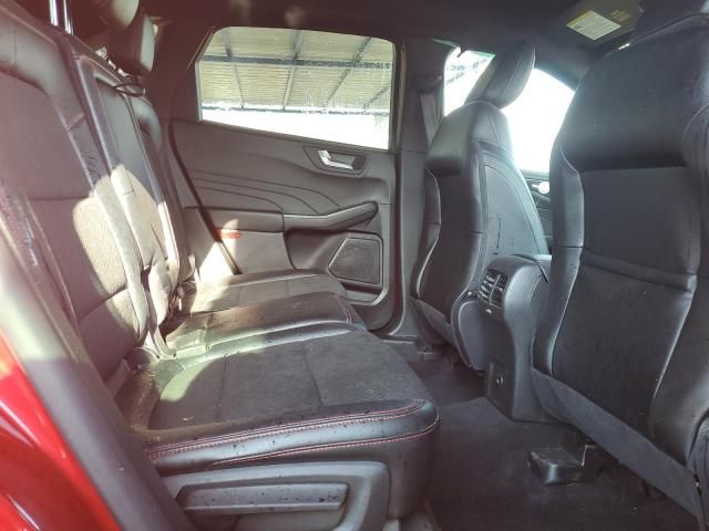 2025 Ford Escape ST Line