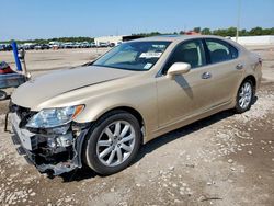 2007 Lexus LS 460 for sale in Houston, TX