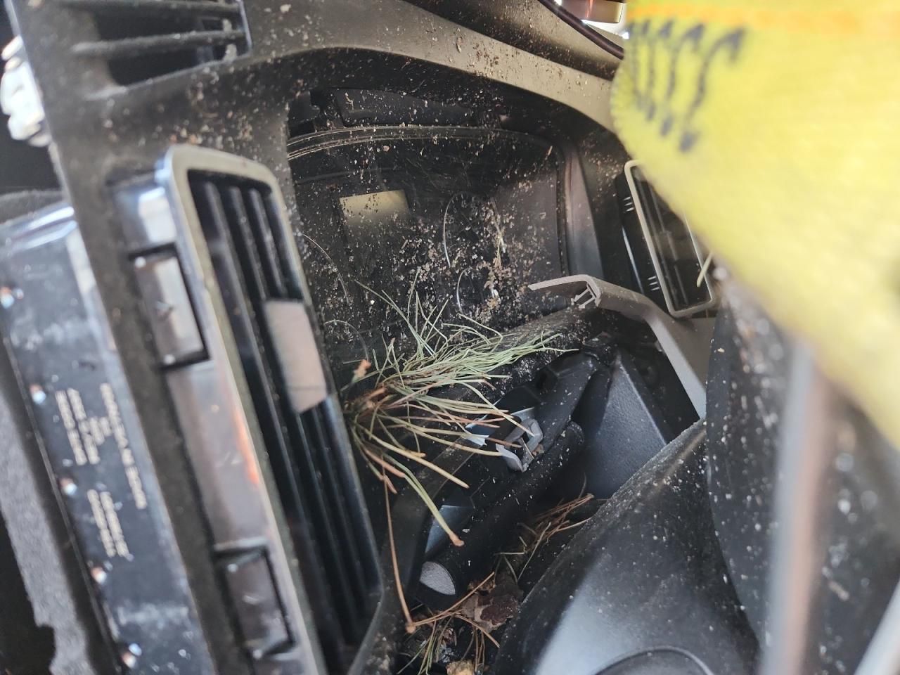 2025 Freightliner Cascadia 126 Semi Truck