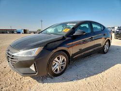Hyundai salvage cars for sale: 2019 Hyundai Elantra SEL